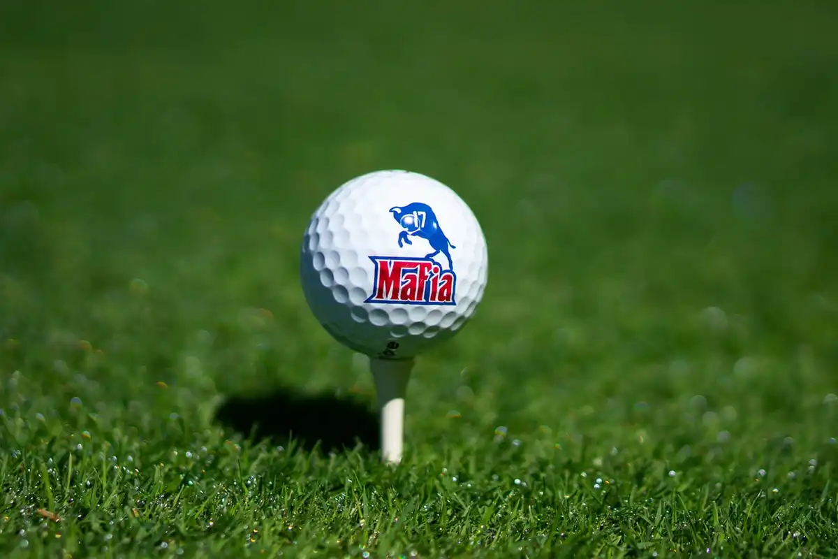 Inside The Mind of a Bills Mafia Fan